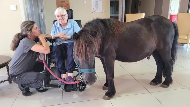 LFPCheval (@lfpcheval) on Twitter photo 🐴🥰 #Médiation animale. Béguin redonne le moral aux seniors
ow.ly/FQOP50WrIoA 🐴🥰 #Médiation animale. Béguin redonne le moral aux seniors
ow.ly/FQOP50WrIoA