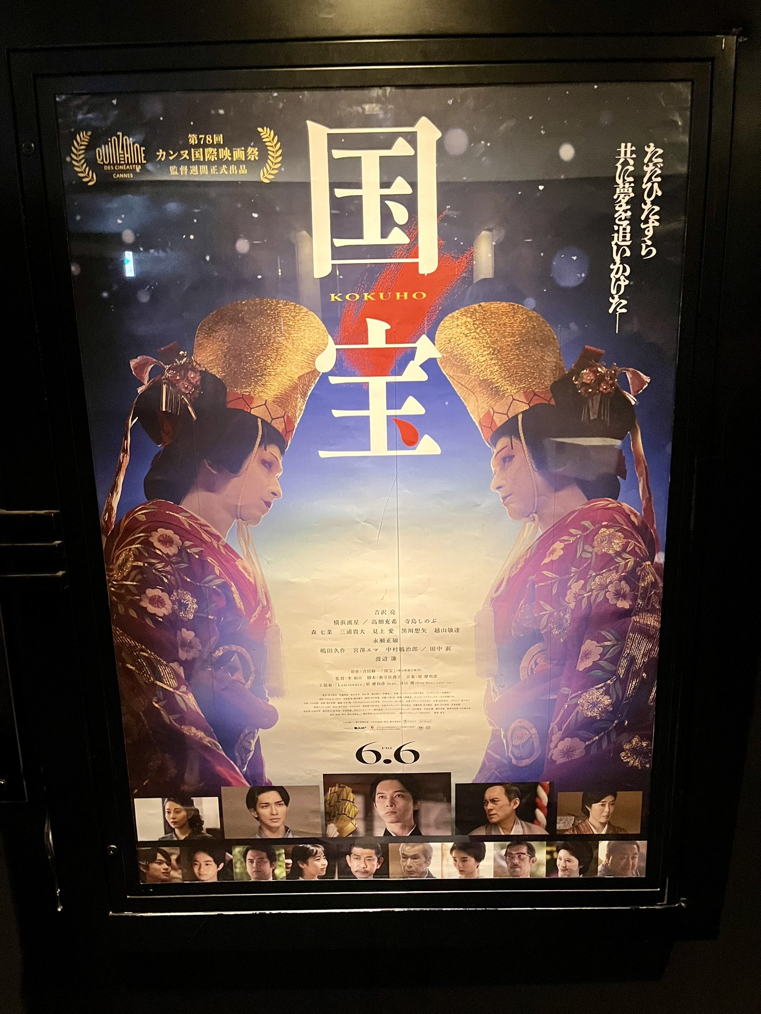 金魚倶楽部〈2枚組〉DVD 吉沢亮 250枚!】吉沢亮主演 映画『ぼくが生きてる、二つの世界