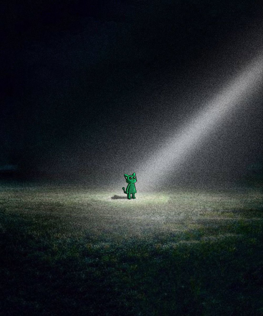 meowonabs's tweet image. shine the light

meow