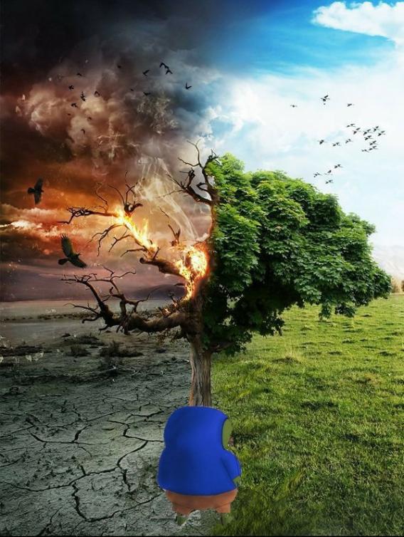 retardsgonnawin's tweet image. Cabal or Community?
Which one you choose in the next six months will determine the fate of you and your bloodline.
Choose wisely.