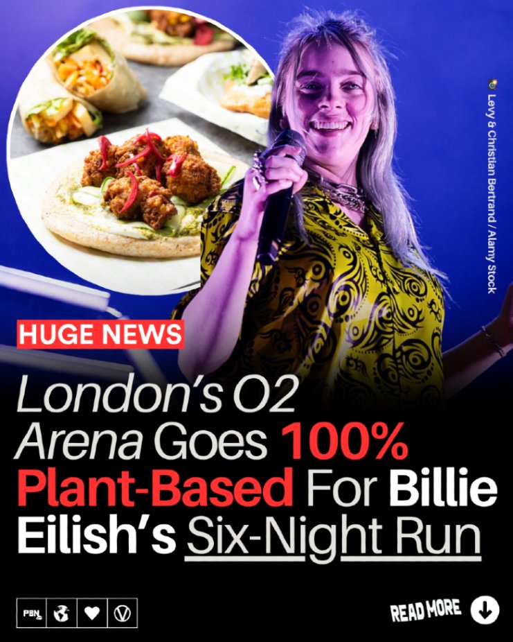 PlantBasedNews's tweet image. London’s O2 Arena went plant-based for all six of Billie Eilish’s performances at the venue this week.
Read more on the PBN website - f.mtr.cool/mznaeacmnl
