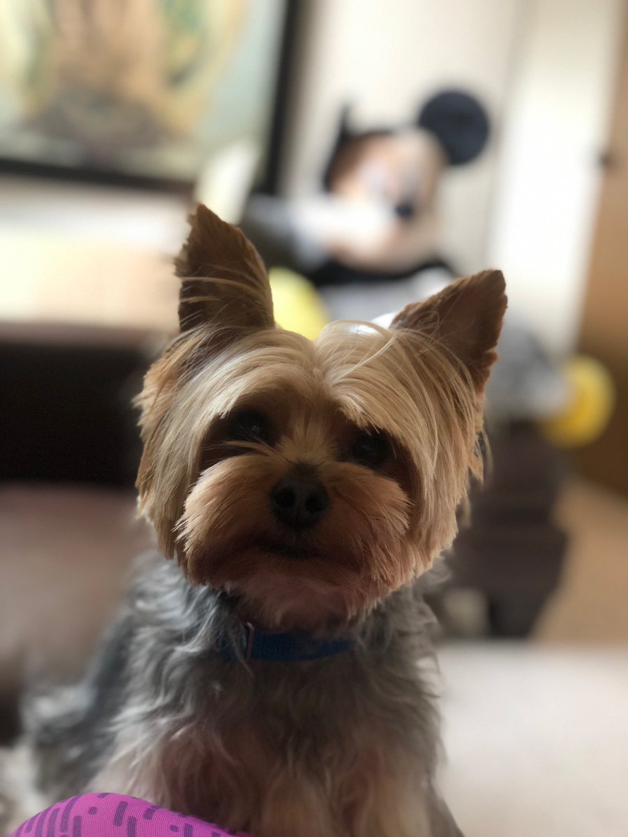 Adri Sánchez tweet media