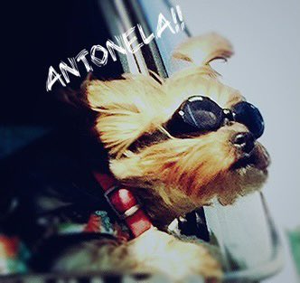 Adri Sánchez tweet media