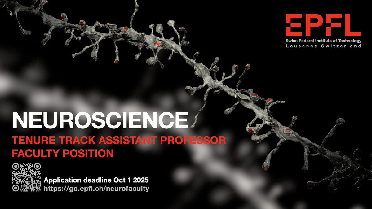 Brainmind_EPFL's tweet image. We are happy to announce an opening for a Tenure Track Assistant Professor Faculty Position in Neuroscience at EPFL. Join our groups working on cellular & circuit neuroscience & neurocomputation - go.epfl.ch/brain. Deadline Oct 1 2025, Apply now - go.epfl.ch/neurofaculty