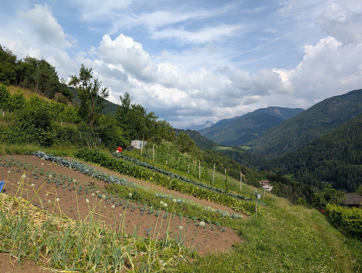 dfsc_10's tweet image. 