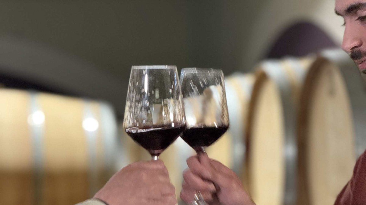 Hablamos de vinos, bodegas y la historia que les acompaña. Hoy desde Jumilla y Almansa, dos variedades mediterráneas por excelencia: la monastrell y la garnacha tintorera.
 
🍷Variotinto en #CMM a partir de las 23:30 h con el mejor vino.

▶️cmmedia.es/tv/variotinto