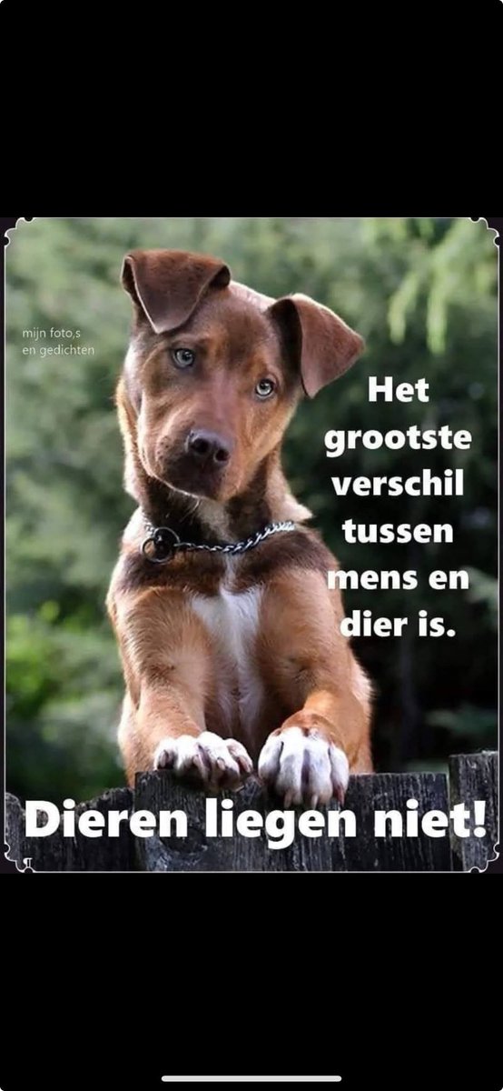 garfield (@ikkkuhggh) on Twitter photo 