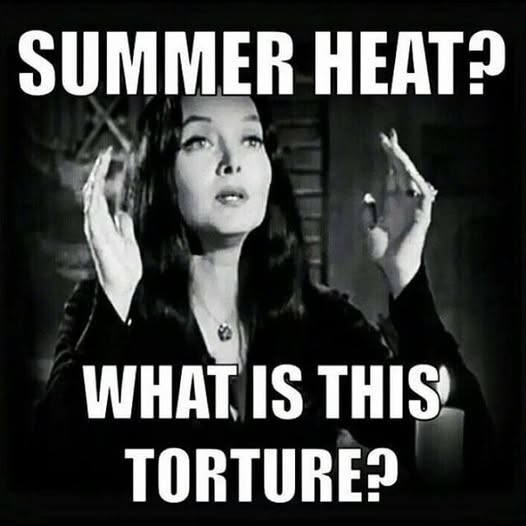 Fake History Hunter (@fakehistoryhunt) on Twitter photo 