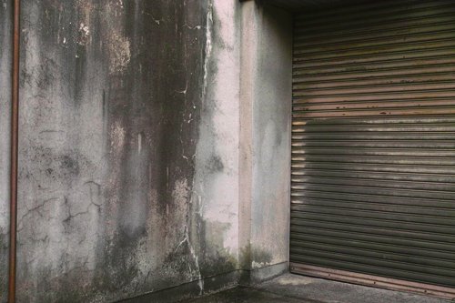 kawakamitakeru's tweet image. kawakamitakeru.wixsite.com/photograph                          #Kyoto #Japan