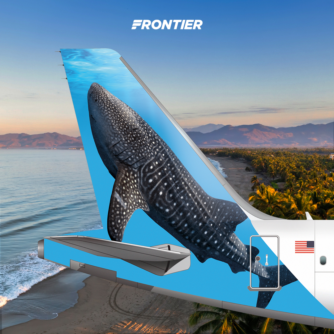 FlyFrontier's tweet image. #SharkWeek starts today, but we've been swimming... errr flying... with sharks year-round! 🦈 Can you name them all? 👇