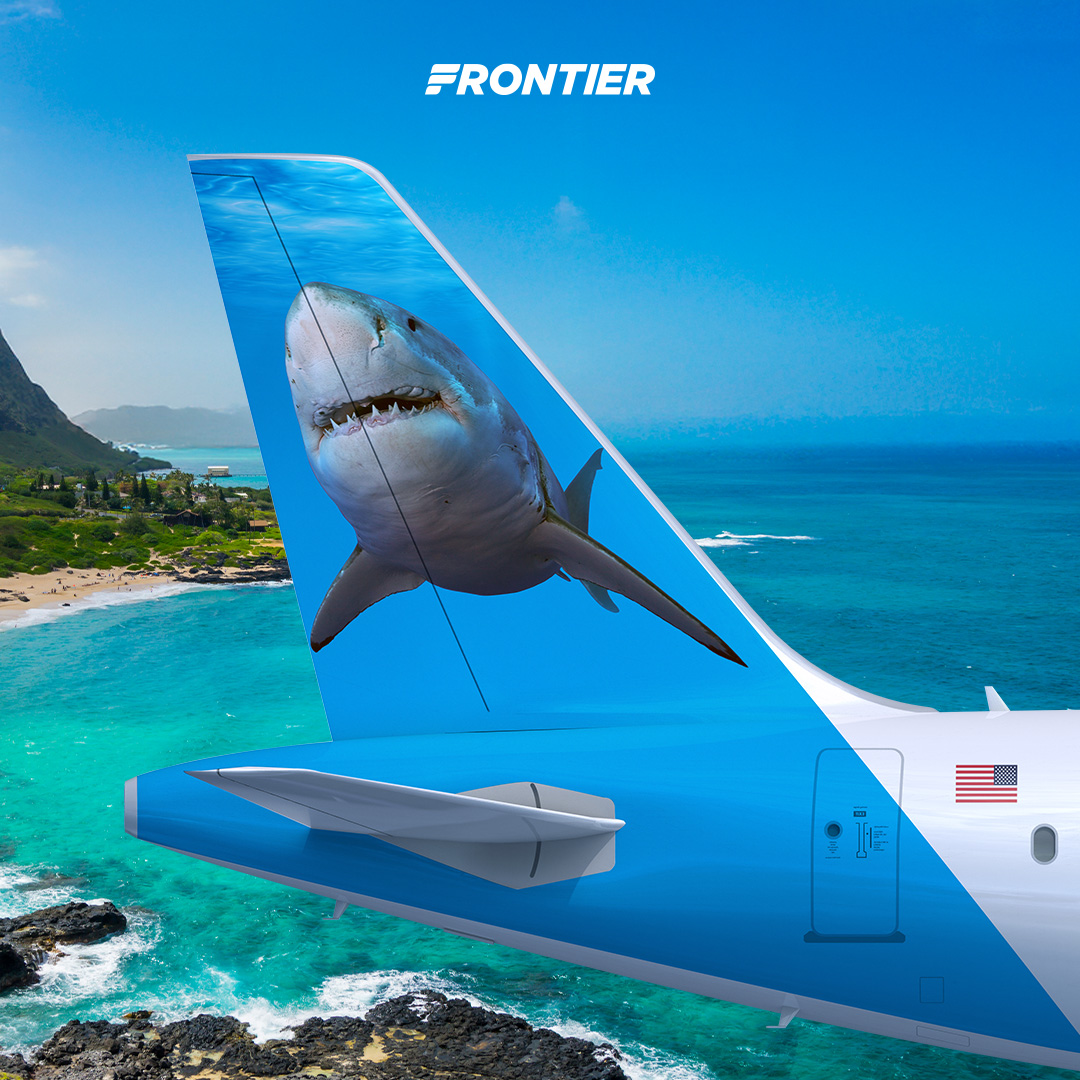 FlyFrontier's tweet image. #SharkWeek starts today, but we've been swimming... errr flying... with sharks year-round! 🦈 Can you name them all? 👇