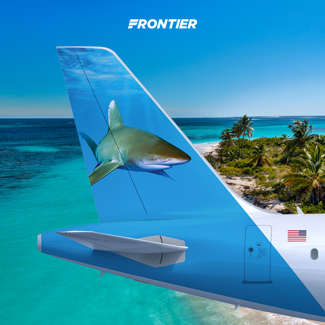 FlyFrontier's tweet image. #SharkWeek starts today, but we've been swimming... errr flying... with sharks year-round! 🦈 Can you name them all? 👇