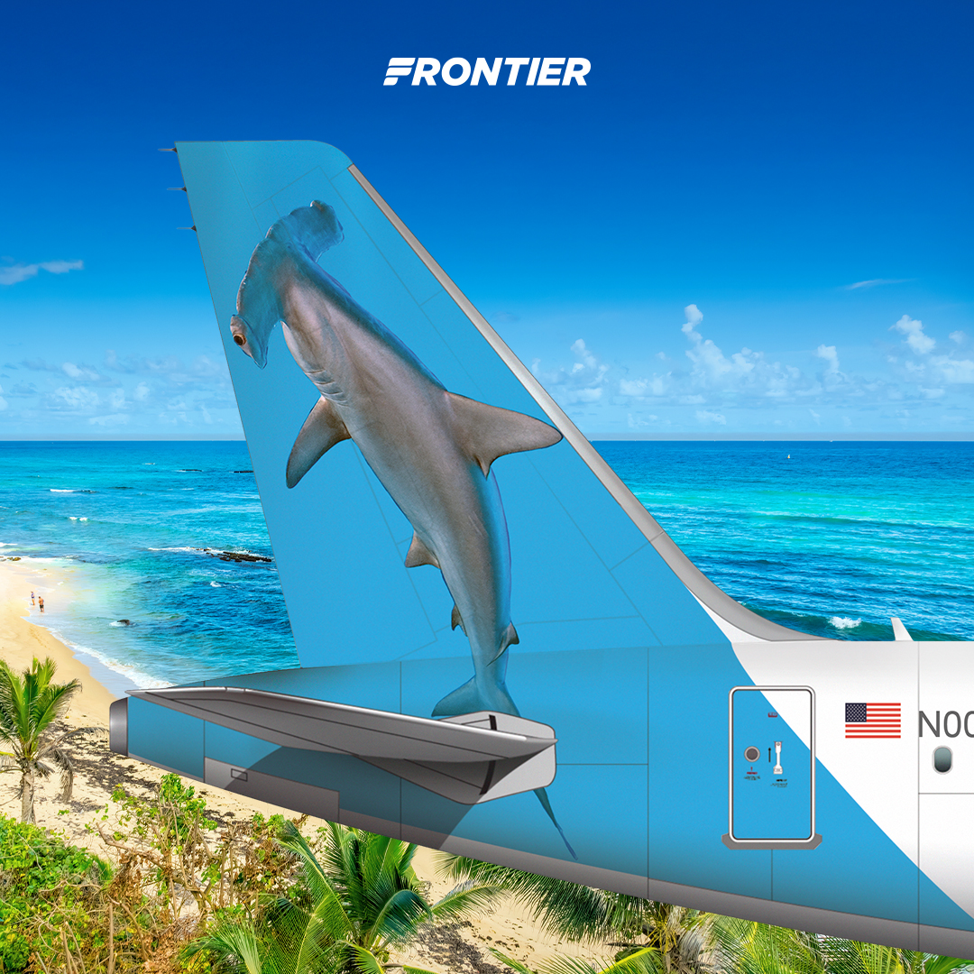 FlyFrontier's tweet image. #SharkWeek starts today, but we've been swimming... errr flying... with sharks year-round! 🦈 Can you name them all? 👇