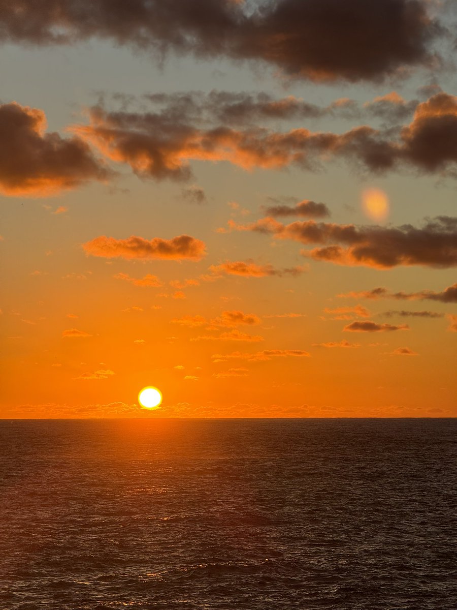 Refiloe Ramogase tweet media