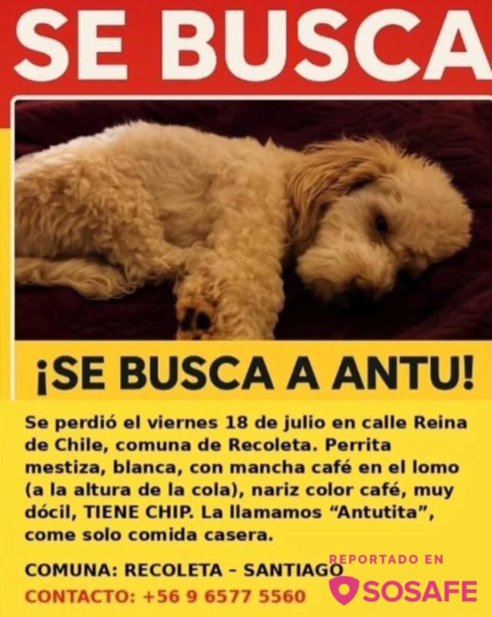 🆘🆘🆘 #Recoleta la buscan 🙏 Compartan ⁦<a href="/Se_Me_Perdio/">Mascotas perdidas 🐶😿🍀</a>⁩ 👇