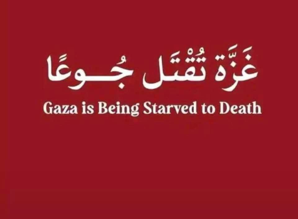 # غزه تقتل جوعاً