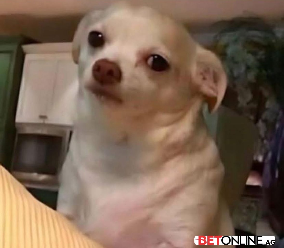 777jorgeivan's tweet image. When she plays hard to get but your homeboy told you she easy & hoe