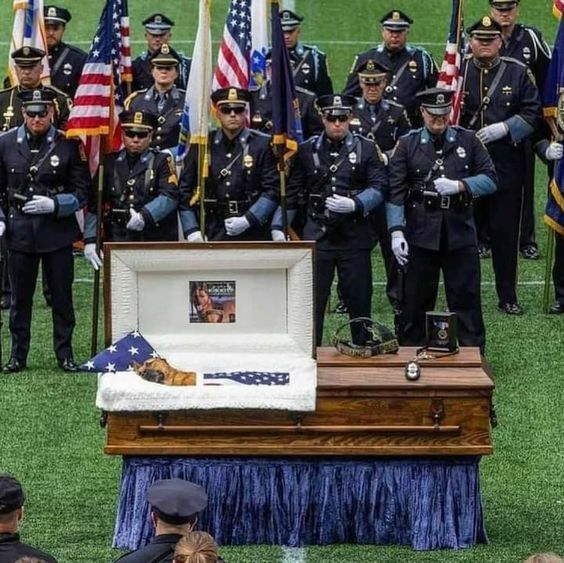 _XDogs's tweet image. Last Goodbye to officer 😞don't swipe past without sending him some love and prayer!🙏
