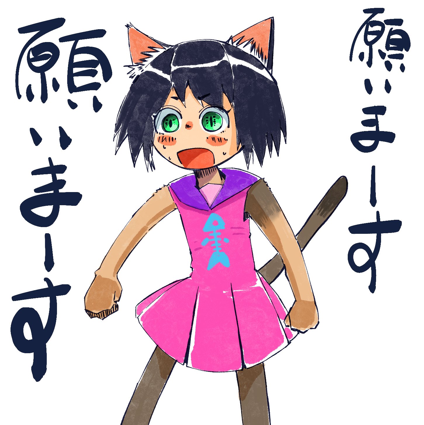 Neko-Kan@ お仕事欲しい on X: 