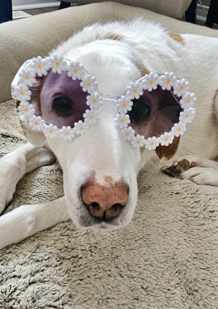 Happy Sunday, dahlings! 🌼