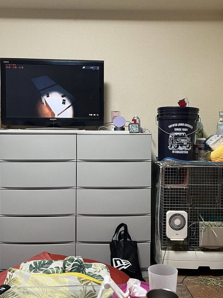 久々姪っ子とサシ飲みで
いやいやホラゲー見てるなう