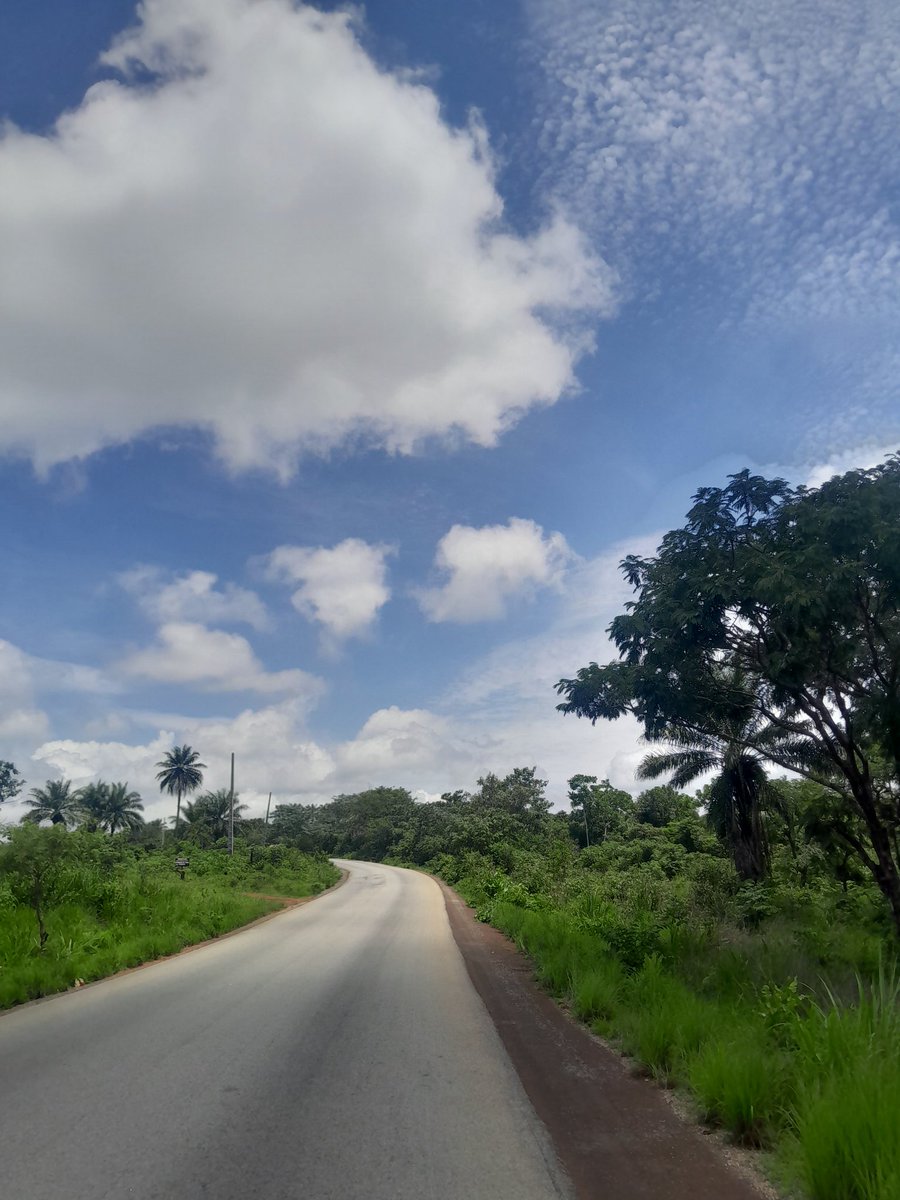 DISTANCE + SOLITUDE= PEACE 🕊️✌️