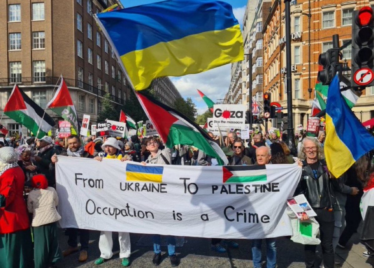 Omar El Fares 🇵🇸 عُمَر الفارس tweet media