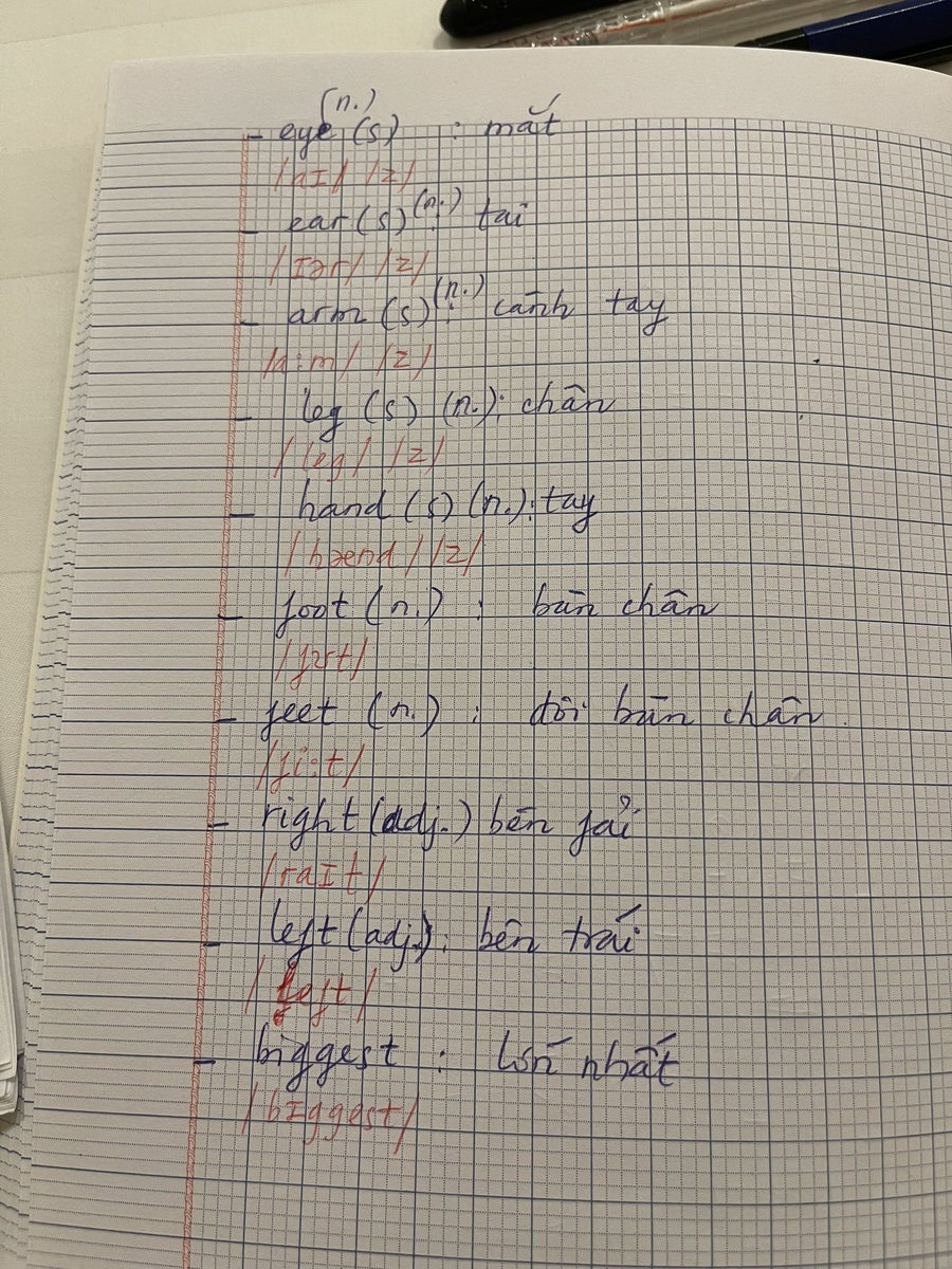Mỹ Anh tweet media