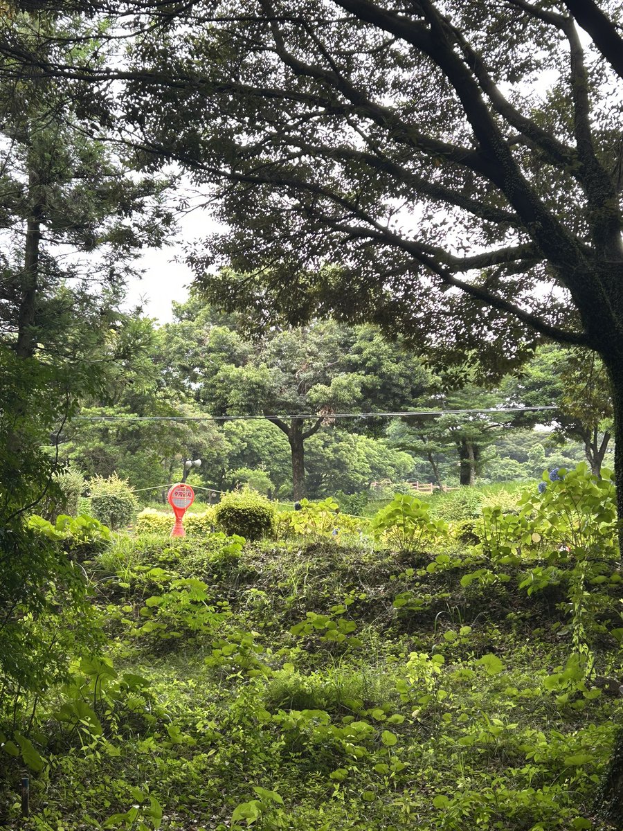 evirfr's tweet photo. jeju 🍊 https://t.co/zRrTEPwx01