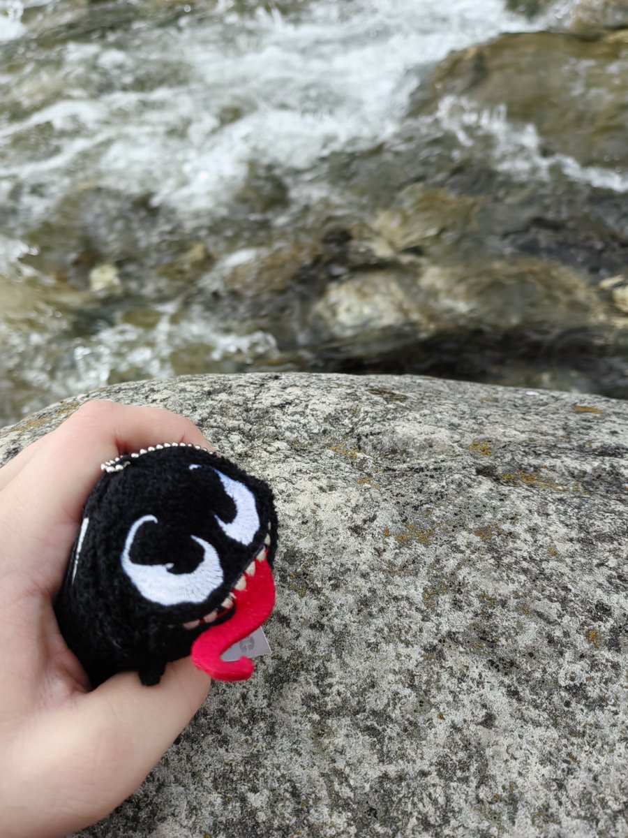 funkycave's tweet image. will share a piece of my life that no one asked for.
#funkyrumblings #tsumtsum #tsumtsumvenom #venom #venomsymbiote