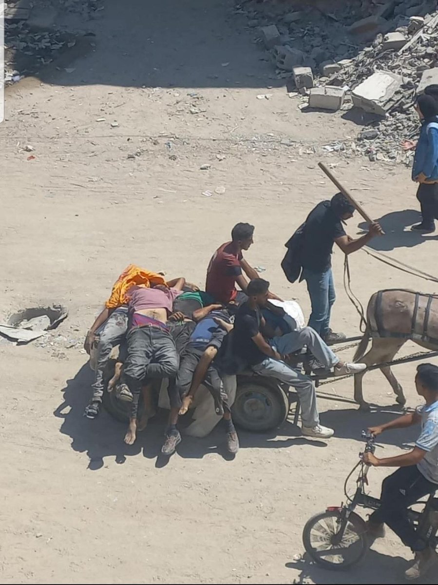 No quedan palabras para describir tanta barbarie.