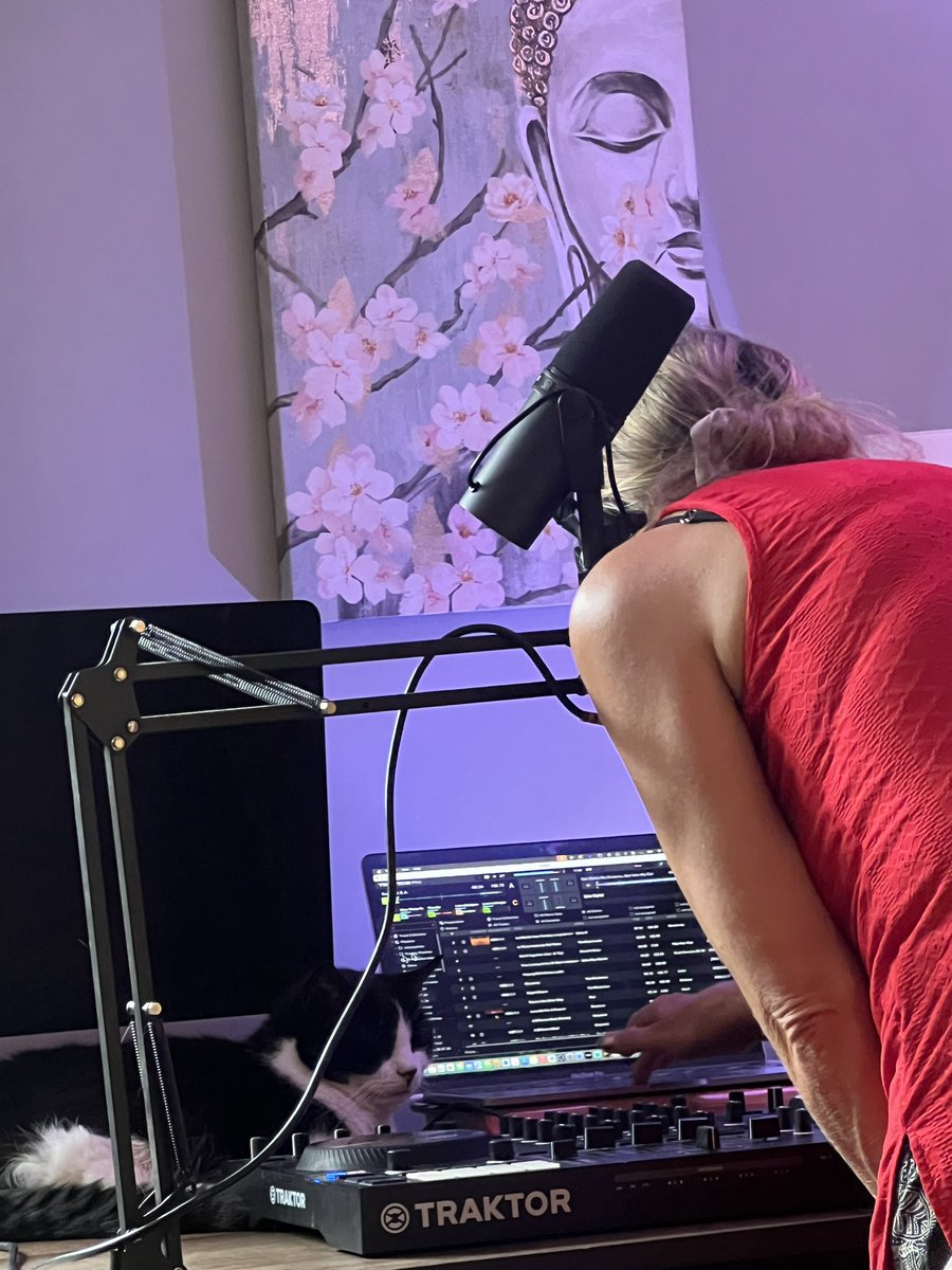 Michael Wall (@waxworxmusic) on Twitter photo Back stage view of tonight show with <a href="/sachaistreem/">Sacha Wall</a> & Rosy Cat of course.
Live now Istreemradio.com
#liveradio #sundayvibes #music #cats Back stage view of tonight show with <a href="/sachaistreem/">Sacha Wall</a> & Rosy Cat of course.
Live now Istreemradio.com
#liveradio #sundayvibes #music #cats