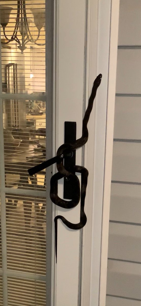 Rainman Vol tweet media