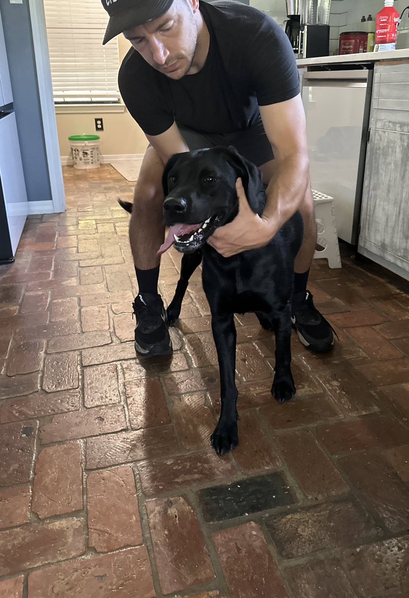 vancemurphy's tweet image. Another day, another dog rescue. Pure bred lab running down the highway.
If any of you are on TikTok please follow my new dog rescue account.
➡️ Vance & Sarah AL dog rescue