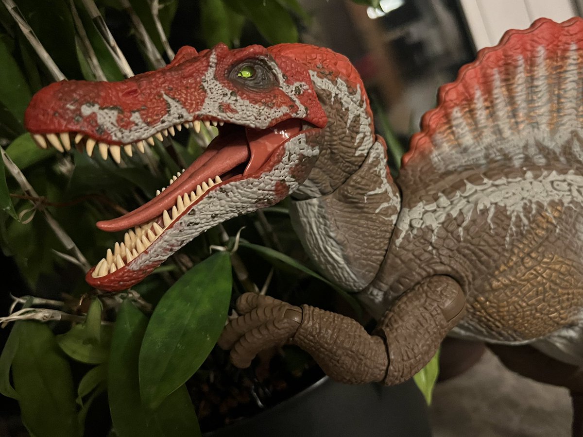 Werikane's tweet image. Finally found some pretty dinosaur figures in the store and immediately went into goblin mode.
Look at this cute baby! ๐ฅฐ๐ฆ
(โฆI mean the Spinosaurus, of course)