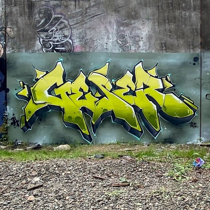 BombingScience's tweet image. Lean, mean, and green! 🟢 @geser3a rocking some @molotowheadquarters and @flamepaint color schemes. Be sure to stock up at our shop! shop.bombingscience.com/graffiti-paint
#geser #3a #3acrew #againandagain #graffiti #letters #wall #graffitiart #spraypaint