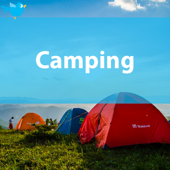 BBDProgram's tweet photo. Our theme this week is Camping! Visit our At Home page for themed activities: https://t.co/5DL7lwD2EL
#camping #elearning #pediatrictherapy #onlinelearning #homeactivities #homeschoolresources #teachingathome #kidsactivities #sensoryplay #athomelearning #homeschoolideas https://t.co/iG6u1VdbB9
