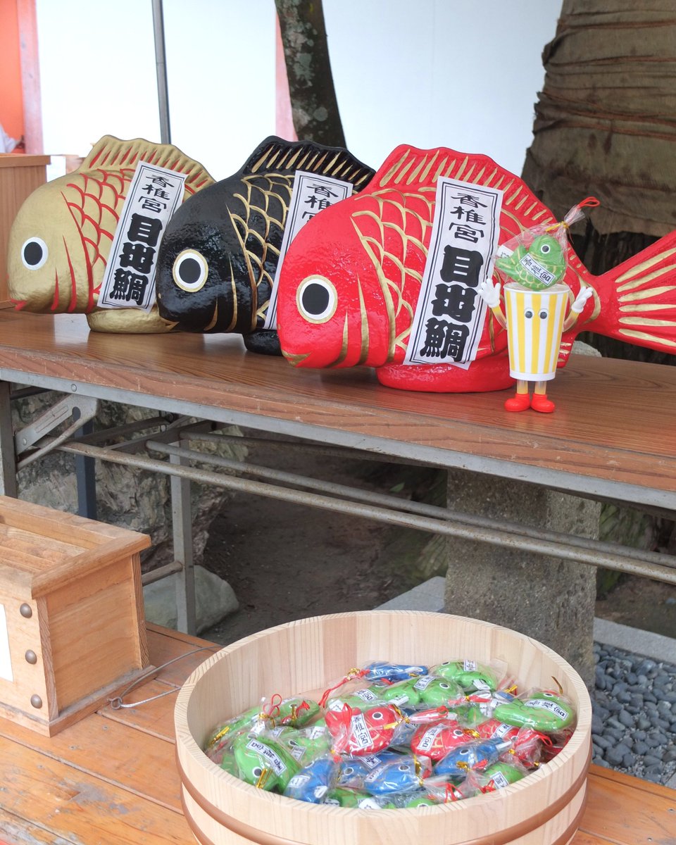 CPatrascheC's tweet image. もう一匹🎣