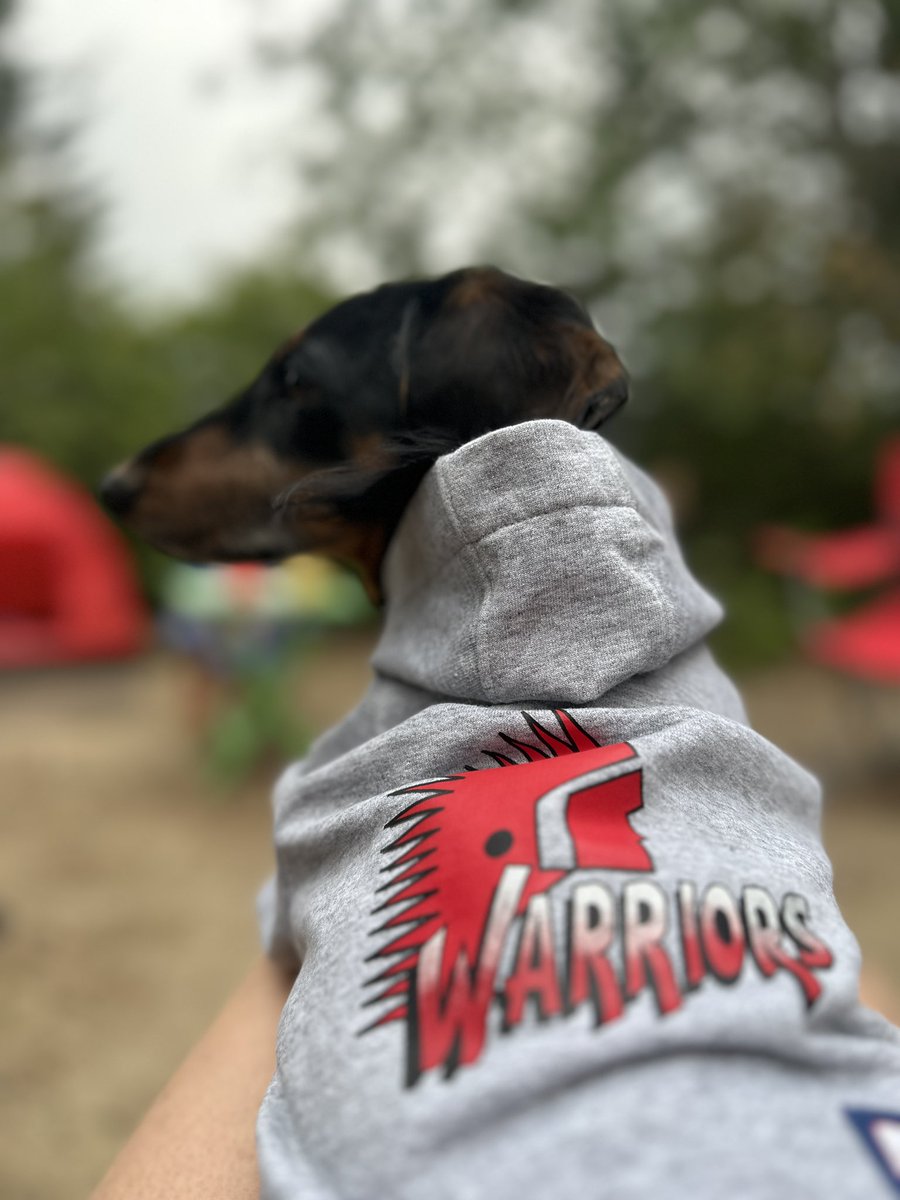 Jay Downton (@thesquireyeg) on Twitter photo Hotdog repping his favourite hoodie <a href="/MJWARRIORS/">Moose Jaw Warriors</a> Hotdog repping his favourite hoodie <a href="/MJWARRIORS/">Moose Jaw Warriors</a>