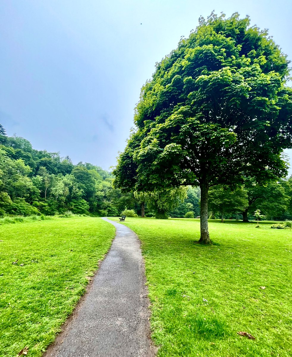 Walk in the park. ☘️ 
It’s a grey day, but that’s ok. 🩶