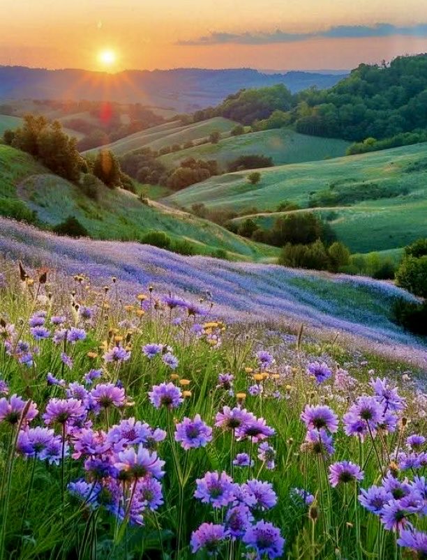 Blessed Sunday!
Have a beautiful day 💜