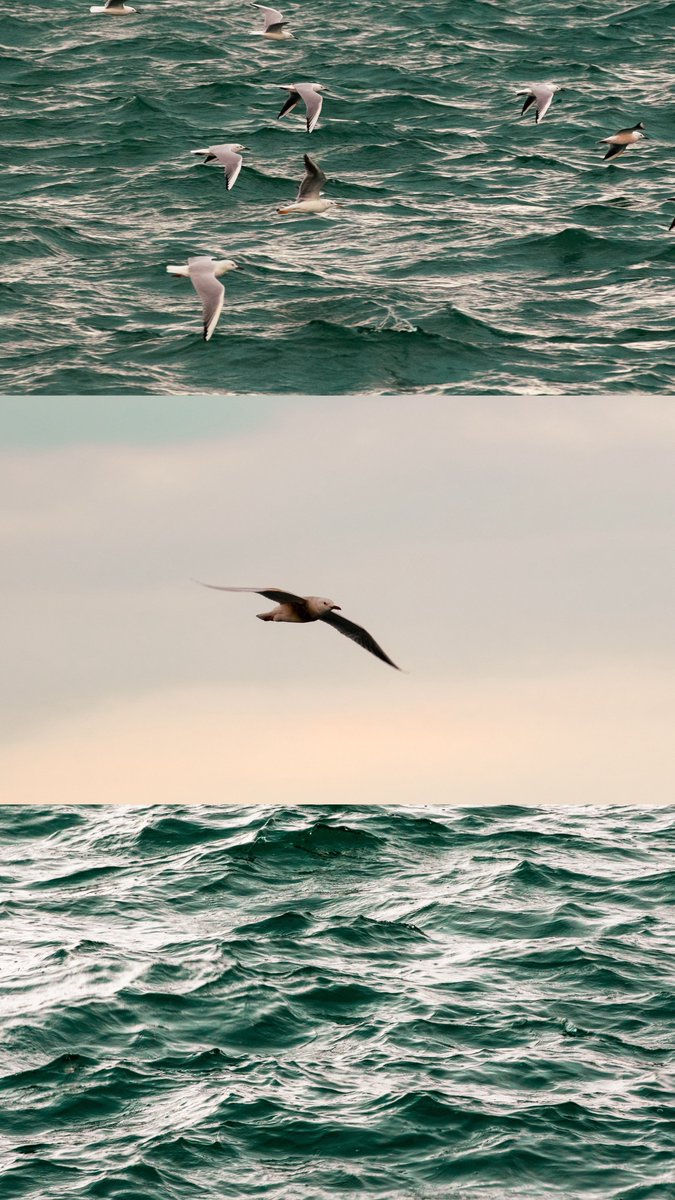 شاركني مجموعة من تصويرك وأبهرنا : 

 Cut Tweet