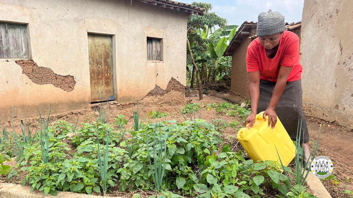 DufatanyeOrg's tweet photo. Jeanne used to walk 2 hours for dirty swamp water.
Now she walks 5 minutes for clean water,thanks to the #VillageOfHope Project by @DufatanyeOrg 🌍
📚 Her kids are healthy and in school.
🌱 The garden grows.
💡 Hope is real. #CleanWater #CommunityTransformation #RwandaSuccess https://t.co/6lbvzr7dvp