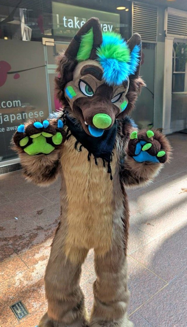 Shep_Dex's tweet image. Had an amazing fursuit debut at @LondonFurs 馃挌馃挋
馃摳 jamiethemagpie