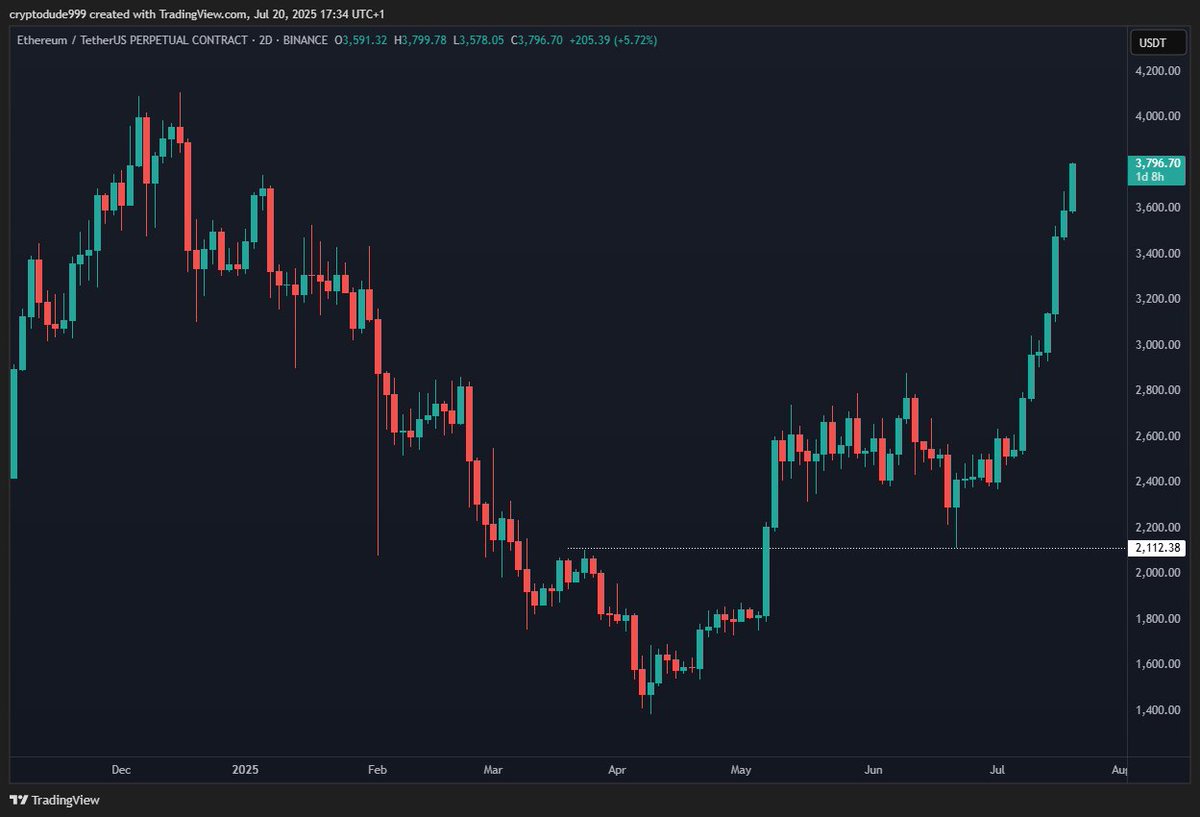 the dude tweet media