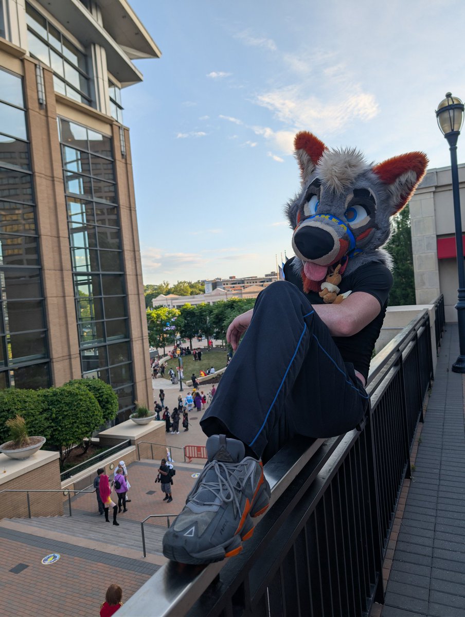 PartDoggo's tweet image. Great view from up here