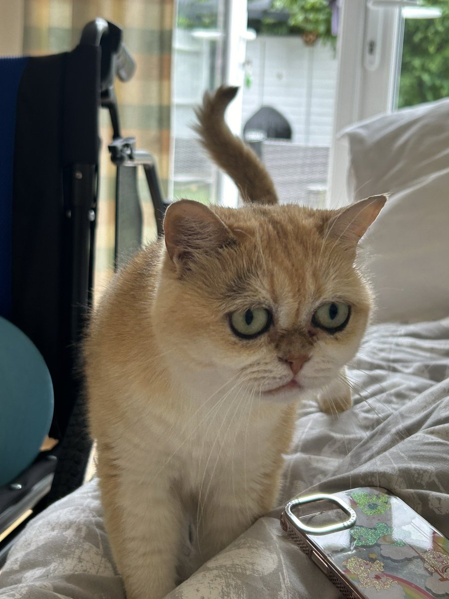 mimybug's tweet image. oh lawd she coming