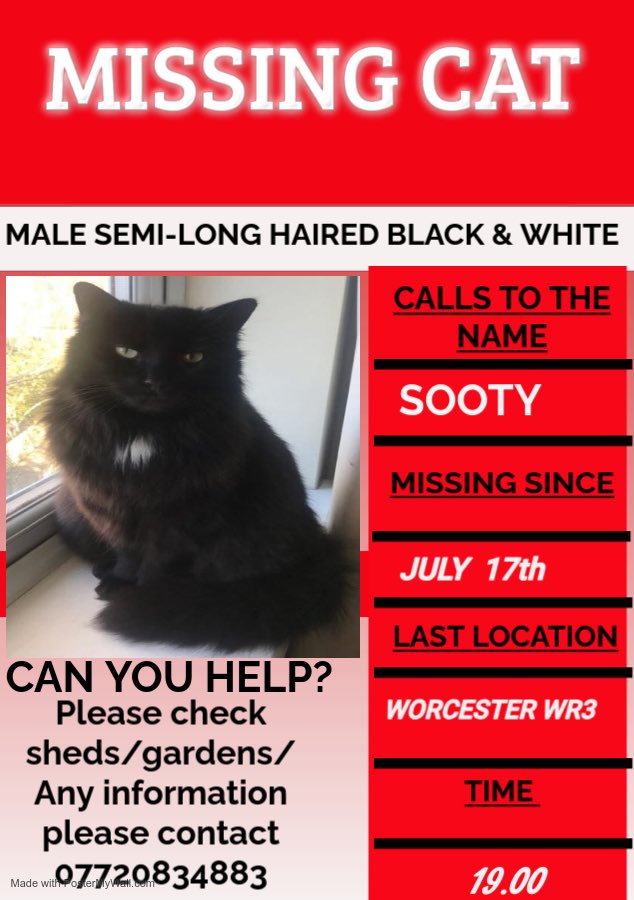 Worcester Friends

Have you seen Sooty? 

Sooty has been missing now since 17th July. Last seen in Ombersley Road WR3 area of Worcester. His owners have posted messages through doors in surrounding streets for neighbours to check sheds etc
He is neutered and microchipped.