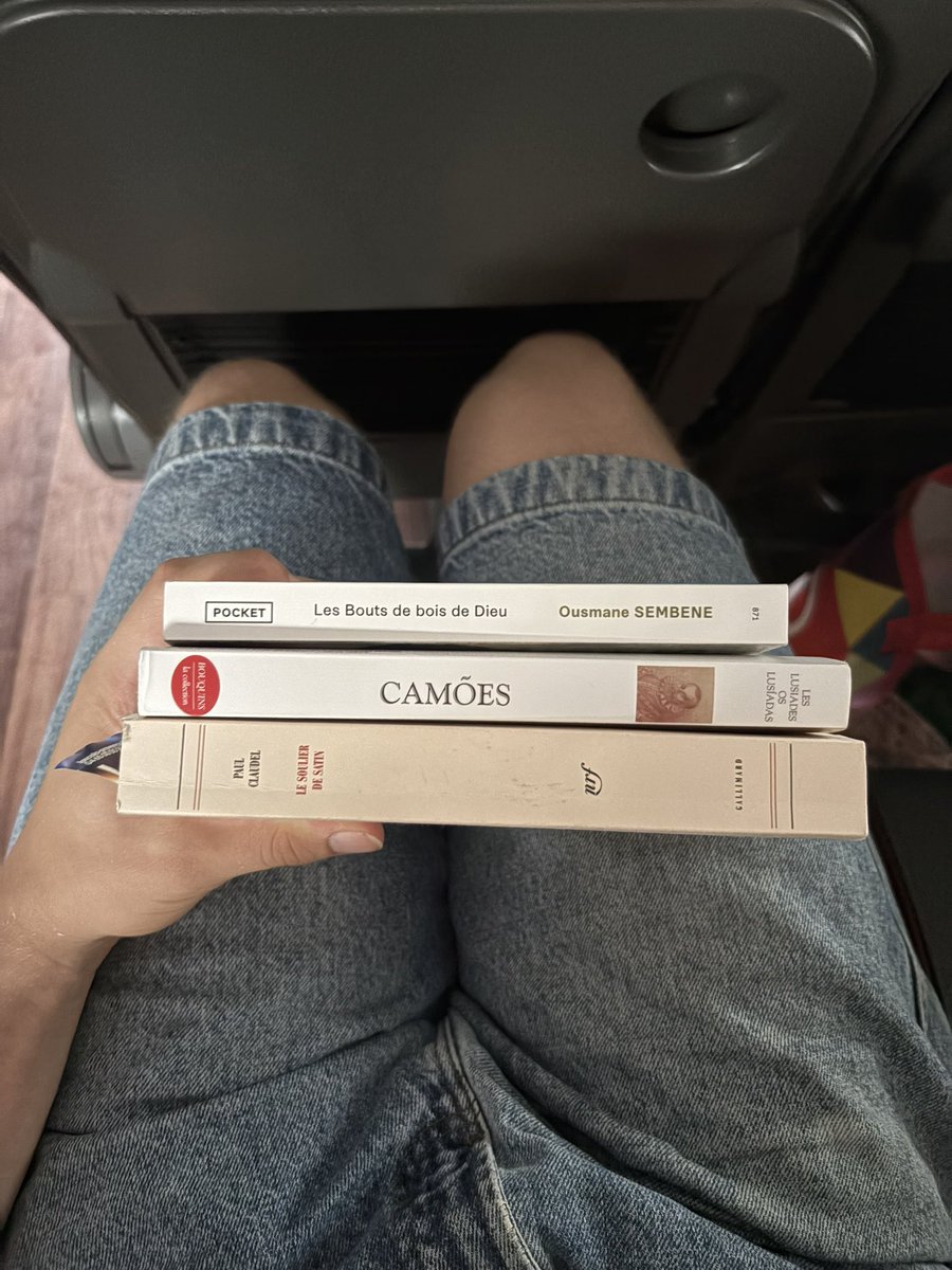 fyn_efrayim's tweet image. book haul des 2 semaines dernières … il faut rentrer en amérique aussitôt comme j’peux pas accéder les bibliothèques ici et j’achète trop de livres