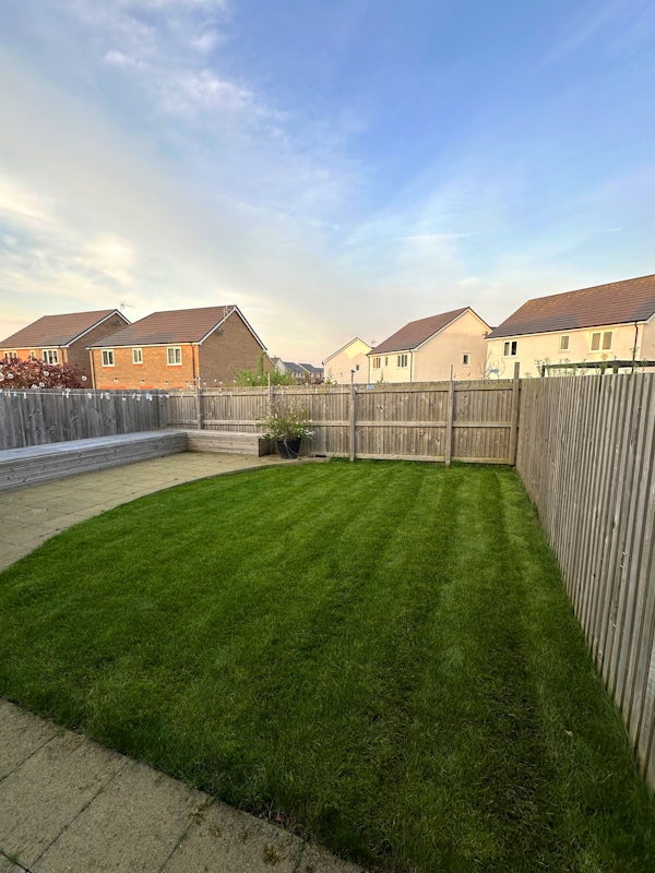 From leatherjackets lurking in the lawn, to a vibrant, lush lawn 🌱 

If your lawn is lacking that rich green glow or you suspect unwanted pests, get in touch with us for a FREE quote and expert lawn analysis: bit.ly/Find-Expert

#LawnShowcaseSunday